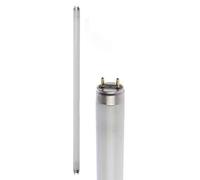 Osram Active DayWhite - Lamp (G13, white, B)