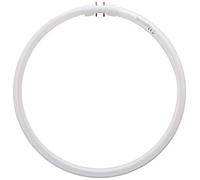 Osram FC 55 Watt 865 Daylight 2GX13 Circular Ring Lamp