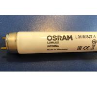Osram Fluorescent Lamp L 36W/827-1 Lumilux Internal Fluorescent Tube 1 Meter [EEK: G]