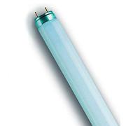 Osram Fluorescent Lamps L 36 Watt 865 Pack of 10