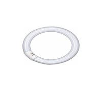 OSRAM - Fluorescent Ring L 22 Watt Warm White (827), 26 mm