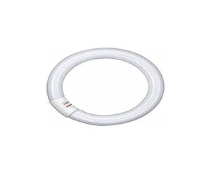OSRAM - Fluorescent Ring L 22 Watt Warm White (827), 26 mm