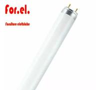 OSRAM G13 T8 30W Fluora fluorescent grow light bulb