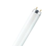 OSRAM fluorescent tube LUMILUX, G13 T8, 120 cm 2,700 K 36 W