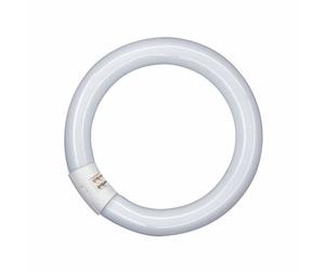 OSRAM G10q 22W 865 Lumilux T9C fluorescent ring