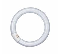 OSRAM G10q 32W 840 Lumilux T9C fluorescent ring