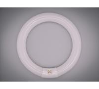 OSRAM G10q 22W 865 Lumilux T9C fluorescent ring