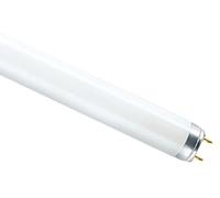 Osram L18 W Fluorescent 18 W G13 A