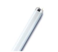 Osram LUMILUX T8 fluorescent bulb 58 W G13 Cool white