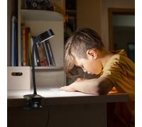 OSRAM LED clip-on light Office Line Cylinder black CCT dimmable