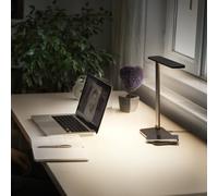 OSRAM LED table lamp Office Line Desk Banker black CCT DIM