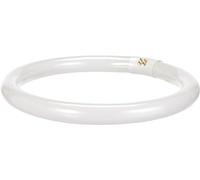 Osram Lumilux - Fluorescent bulb socket, L 32W/ 840, Cool white, Circular, 2100 lm, 9000 h