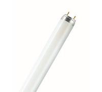 Osram Lumilux T8 Fluorescent Bulb 15 W G13 Warm White