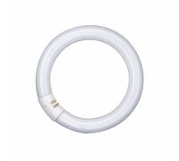 Osram Lumilux - Fluorescent bulb socket, L 32W/ 840, Cool white, Circular, 2100 lm, 9000 h