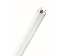 Osram T8 18W 2Ft 830 Warm White Fluorescent Tube