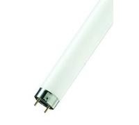 Osram T8 Basic Energy Saver 36W 535 White