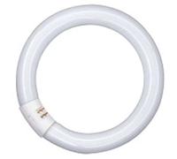 OSRAM T9 Circular Fluorescent Tube, 32W 6500K G10Q, Daylight White, 1 Count