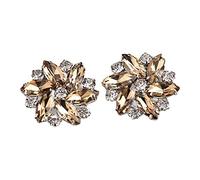 OSRGZRNGR 2 Pieces Rhinestone Shoe Clips Jewelry Crystal Shoe Buckle Wedding Dress Diamond, Brown, 1 pair