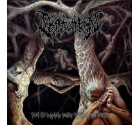 Ossification - From The Suppurate Bowels Of Innermost Earth