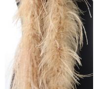Ostrich Feather Boa 2M Reusable Soft Shawl(Camel)