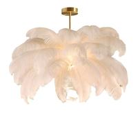 Ostrich Feather Chaner Light - Elegant Ceiling Lamp for Bedroom & Living Room | Unique Design with Soft Ambient Lighting (size_name 60CM)