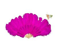 Ostrich Feather Fans, 1/2Pcs Natural Feather Fans 13Bone 60CM Hands Held Folding Fan(Rose,2 Pcs)