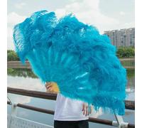 Ostrich Feather Fans, Foldable Ostrich Feather Fan 13 Bone Stage Performance Wedding Party Props Multicolor Pack of 2(Sky blue,Big fan 1pc)