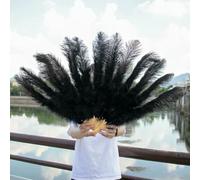 Ostrich Feather Fans, Foldable Ostrich Feather Fan 13 Bone Stage Performance Wedding Party Props Multicolor Pack of 2(Black,Small fan 2pc)