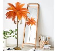 Ostrich Feather Floor Lamp for Living Room, Standing Lamp with Light Source, Tall Romantic Bedside Lamp for Bedrooms, Soft Warm Light