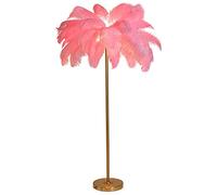 Ostrich Feather Floor Lamp, Simple Living Room Standing Lamps, LED Dimmable Tall Corner Lamp, Princess Bedroom Decoration Light