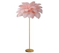 Ostrich Feather Floor LampModern Luxury Real Ostrich Feather Gold Floor Lamp Resin Nordic Standing Lamp Villa Repot Hotel Decor Lighting Romantic Princess Bedroom Bedside Floor Lamp Brown 160cm