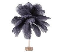 Ostrich Feather Table Lamp, 30PCS Feathers 3 Color Dimming Cordless USB Rechargeable Touch Control Desk Night Light, Modern Decorative Bedside Lamp Bulb Included for Bedroom Living (Gray)