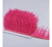 Ostrich Feather Trim 10m Natural Feathers for Crafts Wedding Party Decoration Sewing Ribbon - 8-10cm Soft Lightweight Craft Supplies for Dress Clothing(RED WATERMELON)