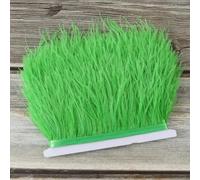 Ostrich Feather Trim Ribbon Long Ostrich Fringe Feathers for Crafts Dress/Skirt Sewing Accessory green11 8-10 CM