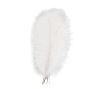 Ostrich Feathers, 10 Pcs Natural White Feathers for Crafting, 20-25cm Large Fluffy Feather for Wedding Decorations Centerpieces, Table Flowers, Stage Performance Decoration, Christmas Tree
