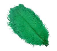 Ostrich Feathers 10Pcs Colorful Ostrich Feather Handicraft Accessories | Decoration Jewelry Creation Natural Plume Table Centerpieces(Grass green,20-25cm 8-10inch)