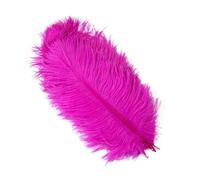 Ostrich Feathers 10pcs/Set White Ostrich Feathers for Crafts DIY Jewelry Home Decoration Wedding Table Centerpieces Carnival Accessory Wholesale(04 Rose Red,25-30cm 10-12inch)