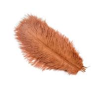 Ostrich Feathers 10pcs/Set White Ostrich Feathers for Crafts DIY Jewelry Home Decoration Wedding Table Centerpieces Carnival Accessory Wholesale(29 Red Coffee,50-55cm 20-22inch)