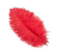 Ostrich Feathers 10pcs/Set White Ostrich Feathers for Crafts DIY Jewelry Home Decoration Wedding Table Centerpieces Carnival Accessory Wholesale(Red,45-50cm 18-20inch)