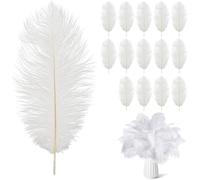 Ostrich Feathers,14pcs White Ostrich Feathers,Natural Ostrich Feathers,8-10in(20-25cm) Large White Feathers,White Feathers for Crafts,for DIY Craft Art Design Home Wedding Table Decoration
