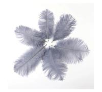 Ostrich Feathers 20PCS Red Ostrich Feathers 15-20CM 20-25cm 25-30cm 30-35cm 35-40cm Fluffy Dyed Plumes for Wedding Accessories Party Home Decor(Gray,15-20CM)