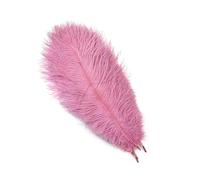 Ostrich Feathers Natural 10pcs White Ostrich Feathers Wedding Home Decor 15-20cm/25-30cm/30-35cm/40-45cm Plumes Table Centerpiece Crafts(Rouge,15-20cm)