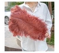Ostrich Feathers Natural White Ostrich Feathers 10pcs 12-14inch for Wedding Bouquet Centerpieces Carnival Costume Arrangement Accessories Plumes(Red Coffee,15-20cm 6-8inch)