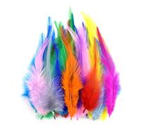 Ostrich Feathers Pheasant Chicken Turkey Peacock Feather Handicraft Accessories 8 ya cui 20 pcs [10 Chun Se Ji Mao,20 pcs]