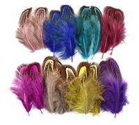 Ostrich Feathers Pheasant Chicken Turkey Peacock Feather Handicraft Accessories 8 ya cui 20 pcs [12 Da Cang,20 pcs]