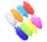 Ostrich Feathers Pheasant Chicken Turkey Peacock Feather Handicraft Accessories 8 ya cui 20 pcs [18 15-20cm Tuo Niao,20 pcs]