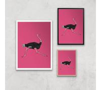 Ostrich Giclee Art Print - A3 - White Frame