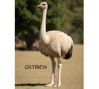 Ostrich Graph Paper Notebook: Fun Math and Drawing Notebook for Kids - 110 Pages with Cute Ostrich Cover - 8.5 x 11 Graph Paper for School, Art, and Creativity