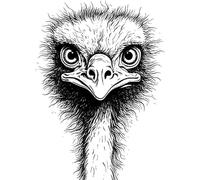 'Ostrich Head' Rubber Stamp - Unmounted Design for Crafting & Scrapbooking, A7 (RS00051685)