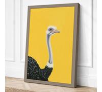 Ostrich on Yellow Modern Canvas Wall Art Print 24x16 Inch (61 x 41 cm)